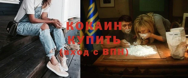 крисы Дмитриев