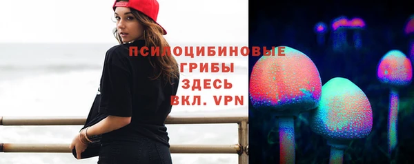 крисы Дмитриев