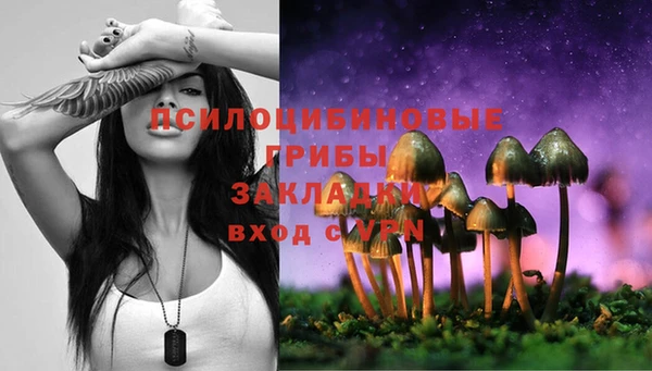 крисы Дмитриев