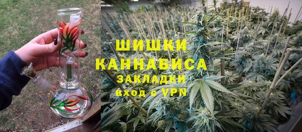 крисы Дмитриев