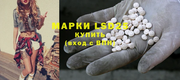 крисы Дмитриев
