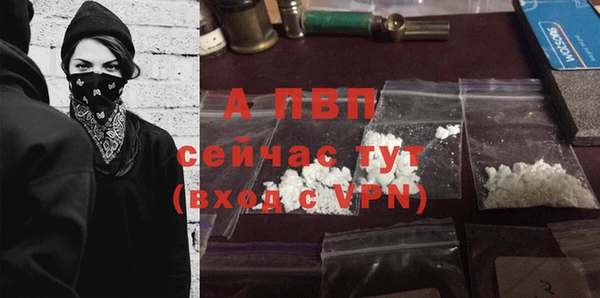 крисы Дмитриев